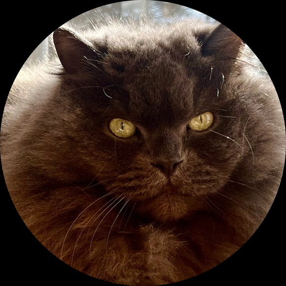 cocodiablo